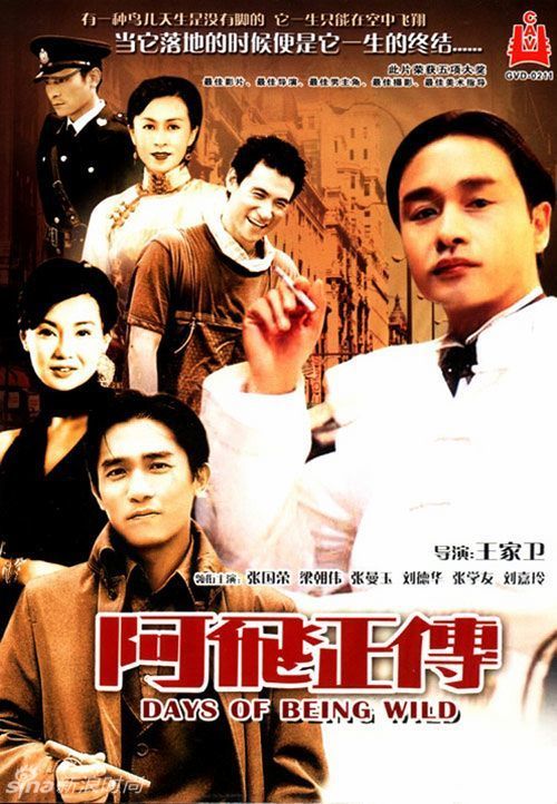 本人毕业证编号怎么查询